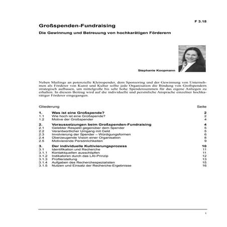 Stephanie Koopmann: Großspenden-Fundraising