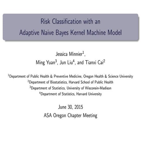 Risk Classification with an Adaptive Naive Bayes Kernel Machine Model
