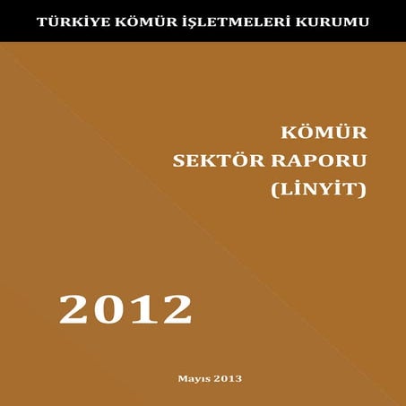 Kömür Sektör Raporu - 2012