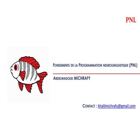 Les fondements de la Programmation neurolinguistique (PNL)