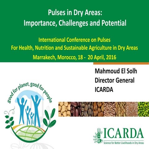 Pulses in Dry Areas: Importance, Challenges and Potential