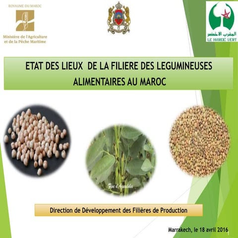 Etat Des Lieux de la Filiere des Legumineuses Alimentaires au Maroc