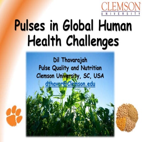 Pulses in Global Human Health Challenges