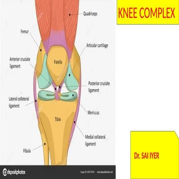 KNEE COMPLEX-1.                      pptx