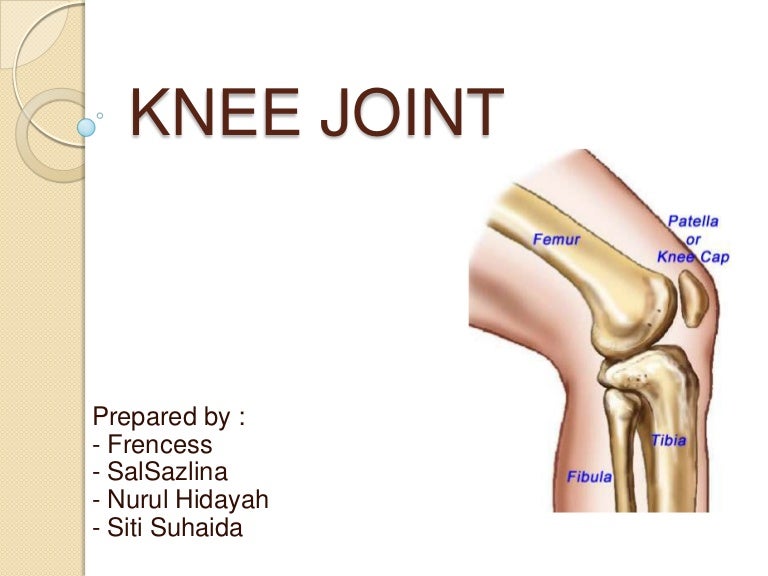 Knee joint