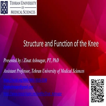 Knee joint.Session 4 | PPTX