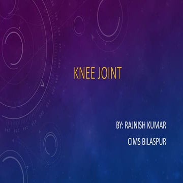 Knee joint