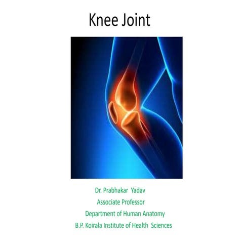 Knee joint   