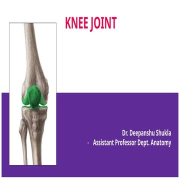 Knee joint.pptxudiratiaitaitItigjztgksykyd