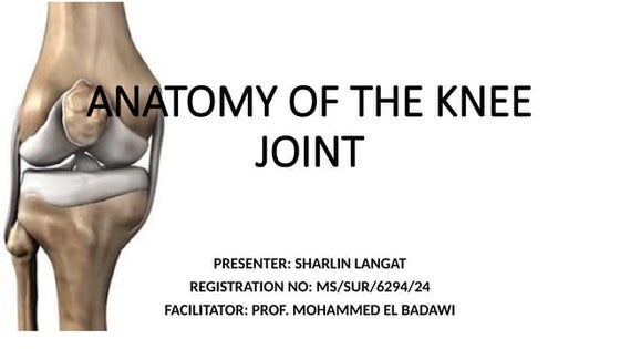 Extensor mechanism of knee | PPT