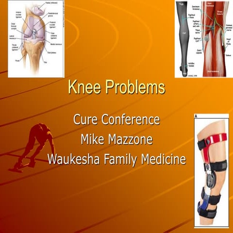 knee PAINS AMONG seniors in problems2.ppt