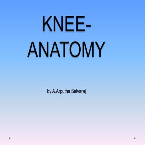 Knee to know 