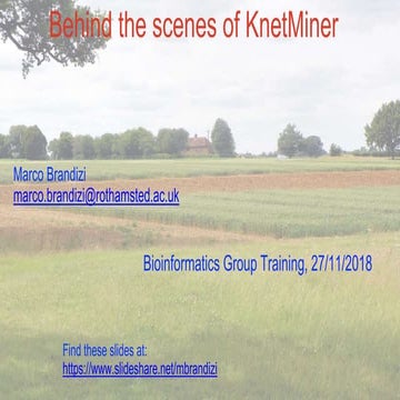 Knetminer Backend Training, Nov 2018