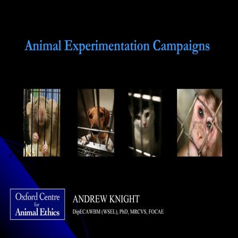 Gravediggers and scholars: campaigning to end animal experimentation