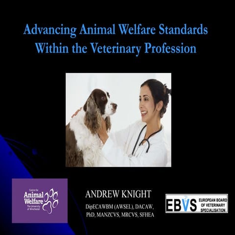 Advancing Animal Welfare Standards within the Veterinary Profession