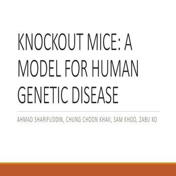Knockout mice | PPTX
