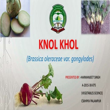 Knol khol  by harmanjeet