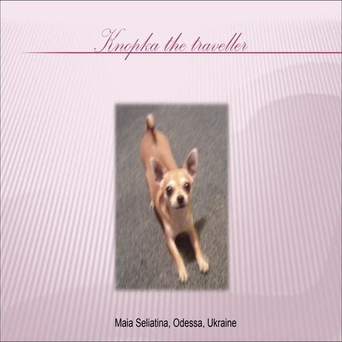 Knopka the traveller