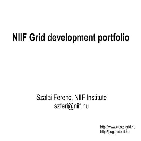 NIIF Grid Development portfolio