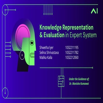 Knowledge Representation & Evaluation in Expert System.pdf