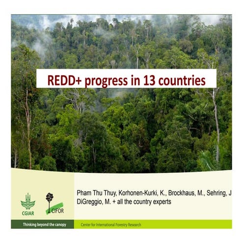 REDD+ progress in 13 countries
