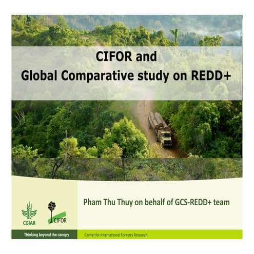 CIFOR and Global Comparative Study on REDD+