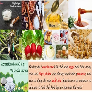 KNTT  Bai 5 Saccharose va maltose.pptx - bai giang