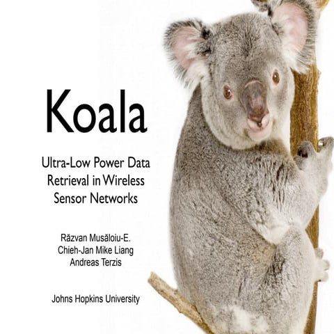 Koala | PDF