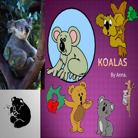 Koalas