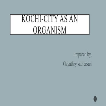 Kochi city as an organism