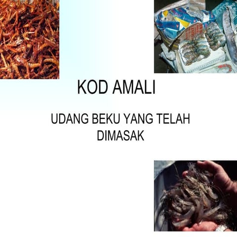 Kod amali udang beku