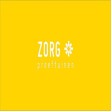 Koen De Vos - Privacy in de Zorg Proeftuinen: Praktische presentatie