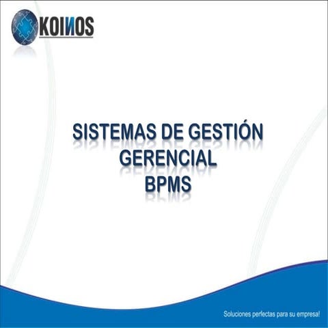 Koinos bpms processonline