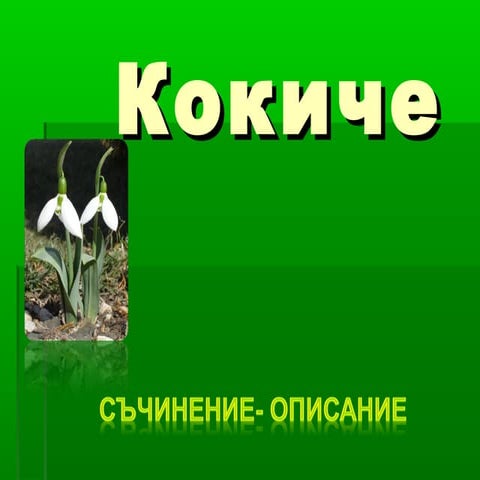 Kokiche opisanie1 | PPT
