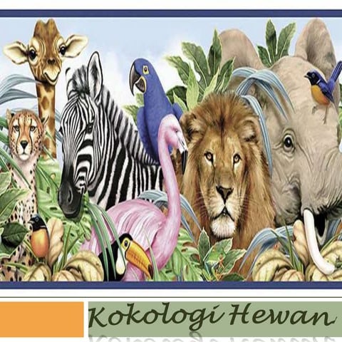 Kokologi Hewan