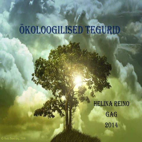 öKoloogilised tegurid | PPT