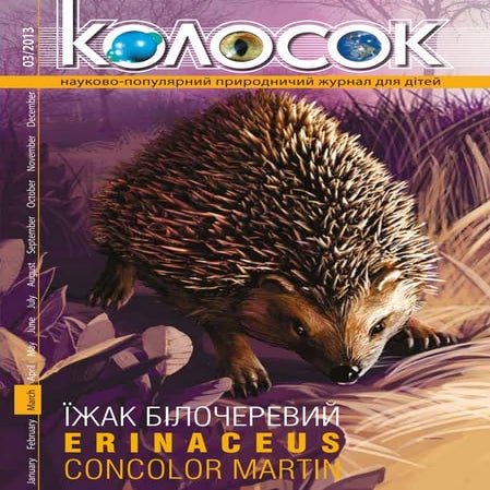 Kolosok 3 2013 | PDF