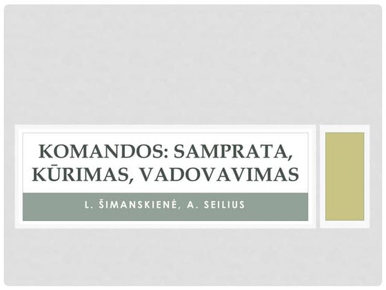 Komandinio darbo patirties pristatymas(1) | PPTX
