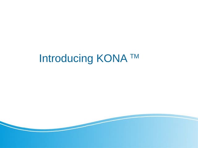 Kona (TM) Autonomous Cars Anti Collision System