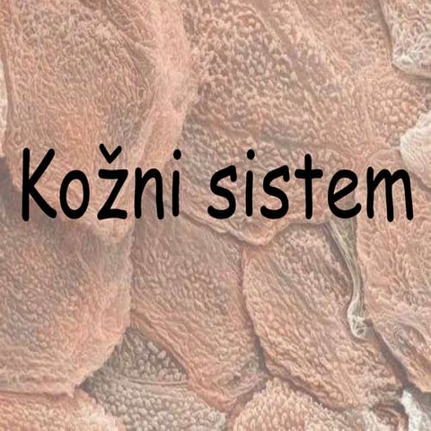 Kožni sistem čoveka | PPT