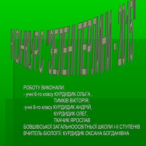 Касова гора