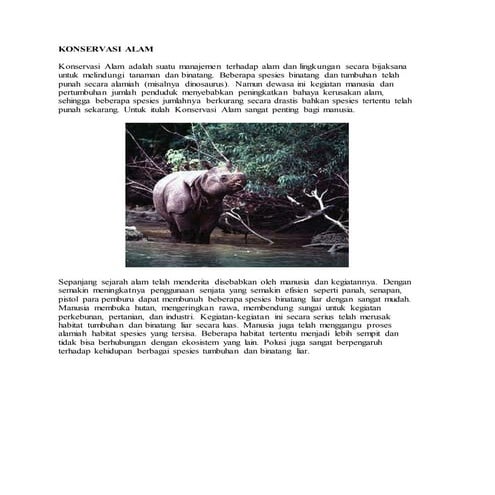 Konservasi alam