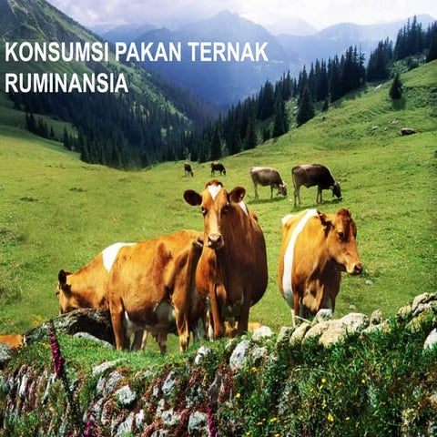 Konsumsi Pakan Ternak Ruminansia: Faktor, Standar, dan Mekanisme ...