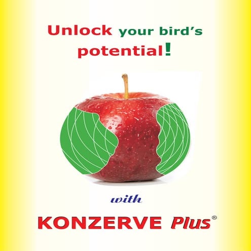 Konzerve plus