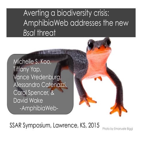 Averting a biodiversity crisis: AmphibiaWeb addresses the new Bsal threat