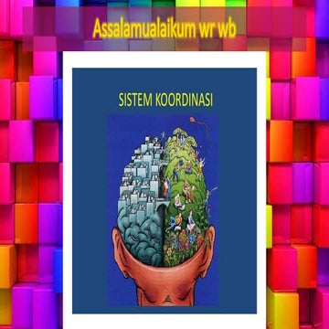 sistem koordinasi manusia