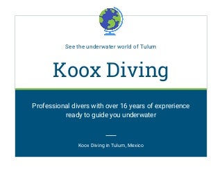 dive shop mexico tripadvisor dive shop mexico tripadvisor
