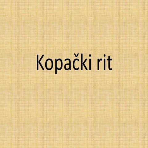 Kopački rit 