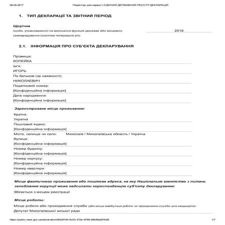 Копейка,э-декларация 2016