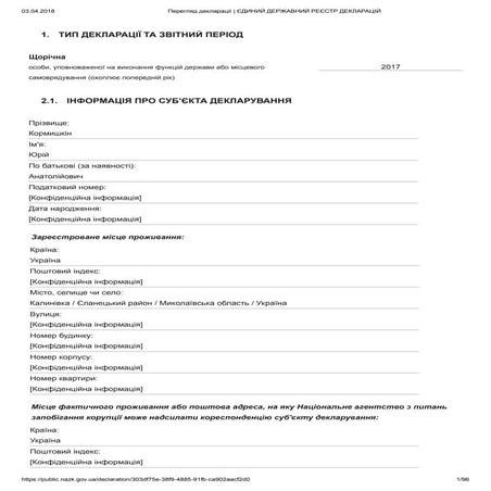 Кормышкин. Декларация-2017